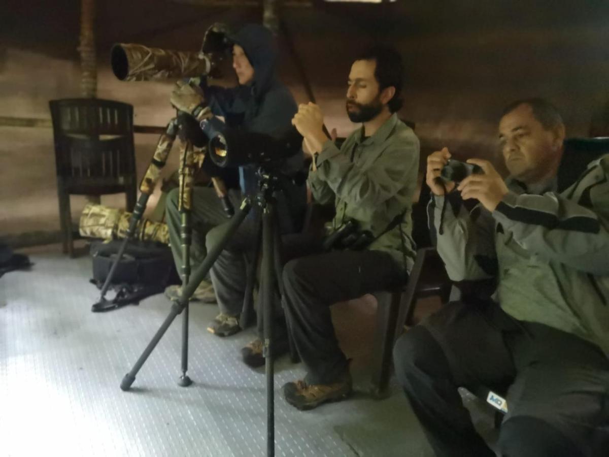 Bosque De Niebla Birding & Nature Cali Zewnętrze zdjęcie