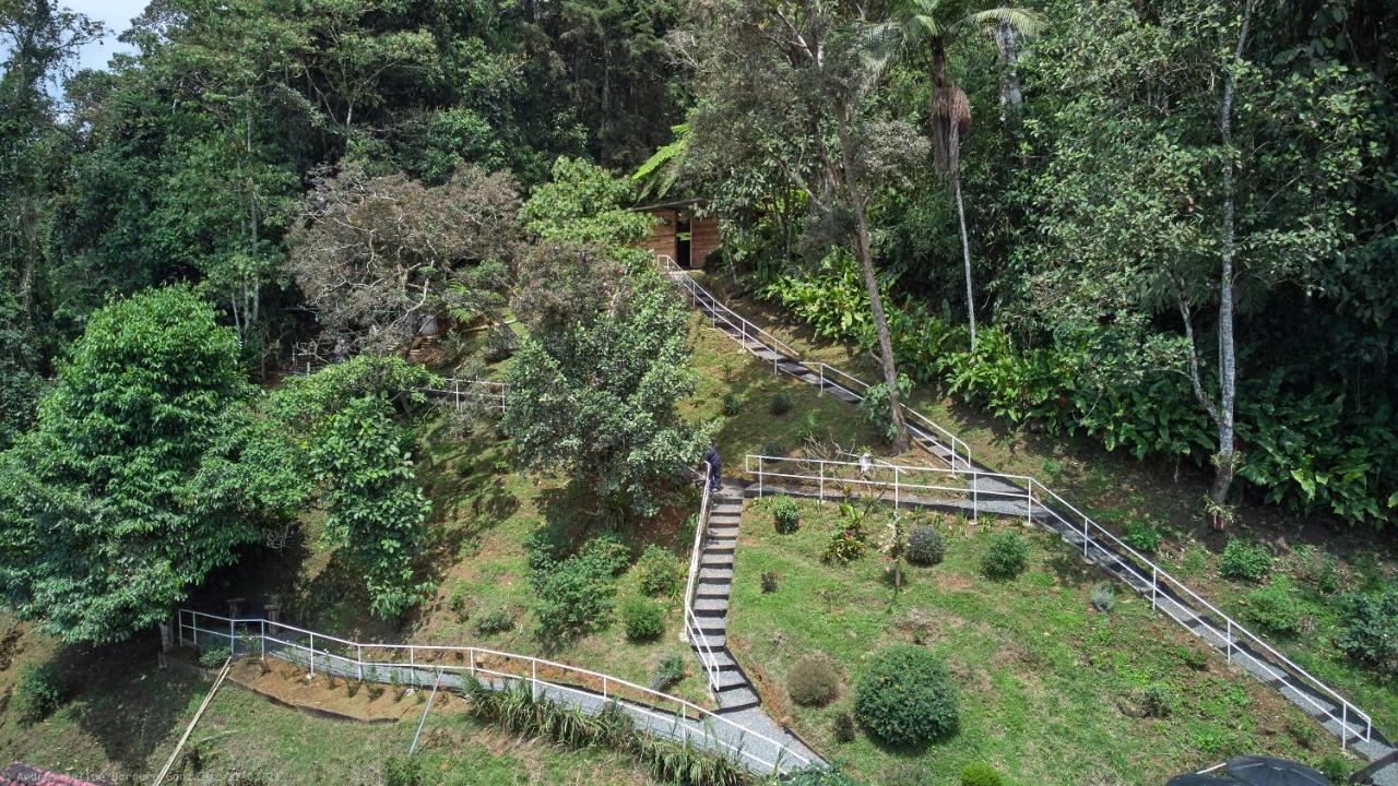 Bosque De Niebla Birding & Nature Cali Zewnętrze zdjęcie