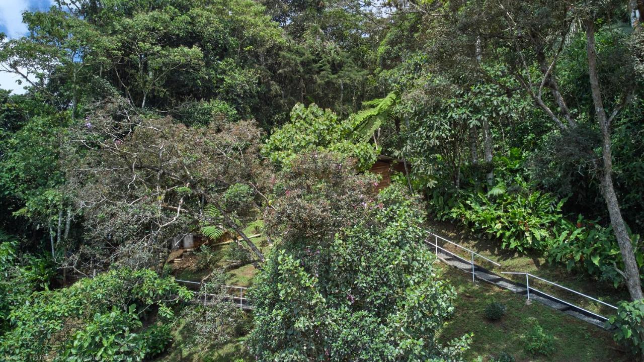 Bosque De Niebla Birding & Nature Cali Zewnętrze zdjęcie